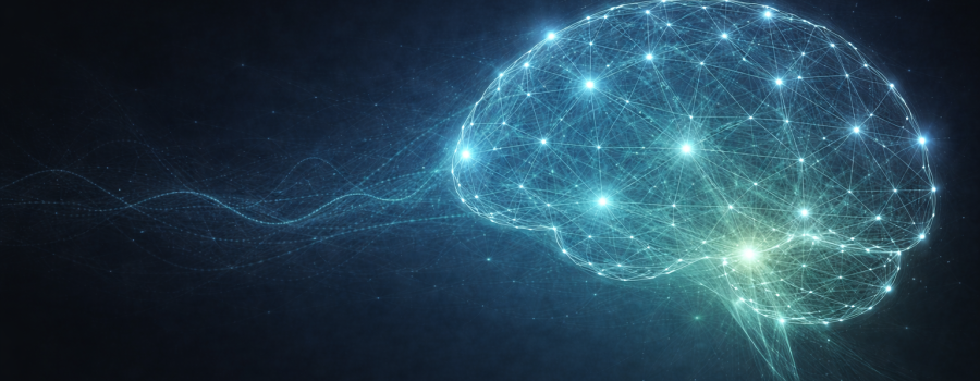 How Stress Physiology Quietly Undermines Executive Decision Making